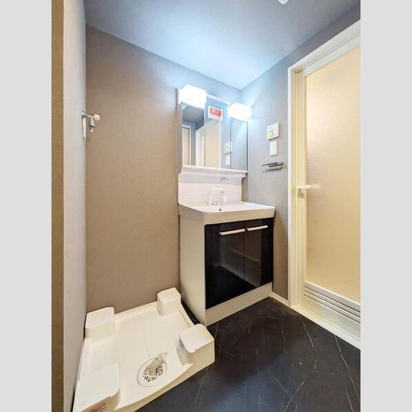 S-RESIDENCE大森bresa602号室 洗面