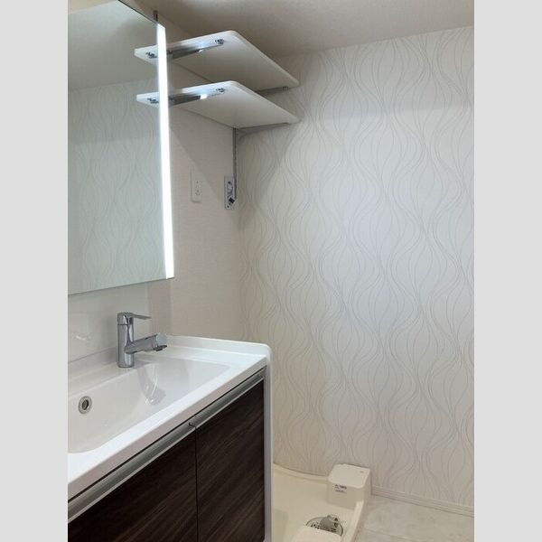 D-est201号室 洗面