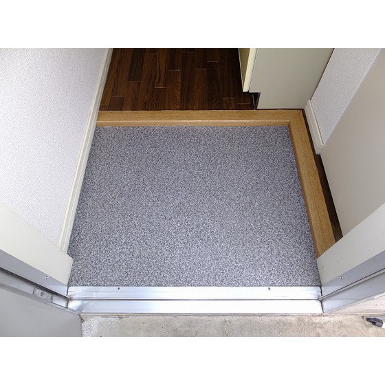 ハウス門馬0202号室 玄関