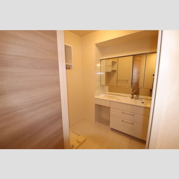 セジュール雅 洗面所