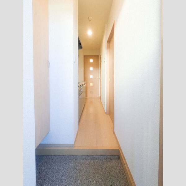 リビングタウン三橋107号室 玄関