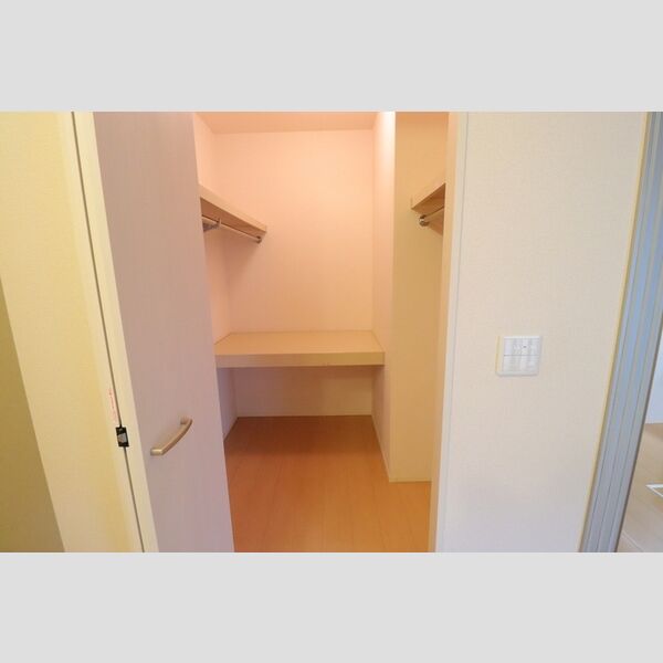 ルーヴル三橋　B102号室 ウォークインクローゼット