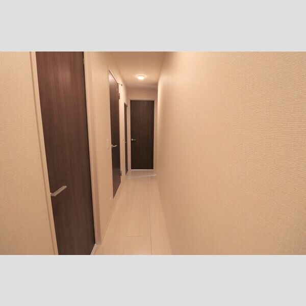 ロイジェントパークス レイクタウン Ⅲ　I201号室 廊下