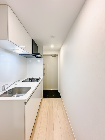 スカイコートリュクス品川大崎203号室 内観