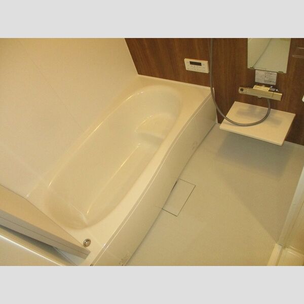 アルベラータ101号室 浴室