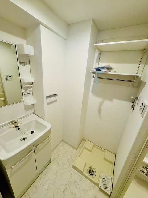 ＮＥＸＴＡ追分0203号室 洗面