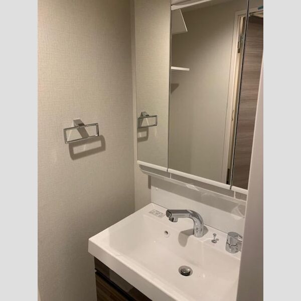 WHITE BIRCH102号室 洗髪洗面化粧台