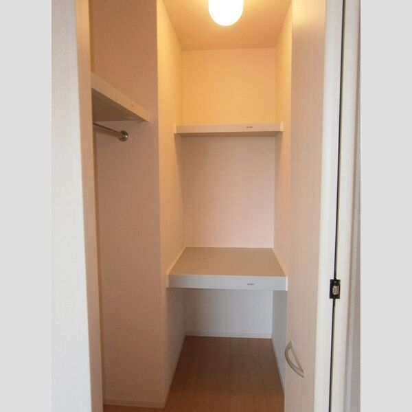 グランモア柳川AB　A102号室 ウォークインクローゼット