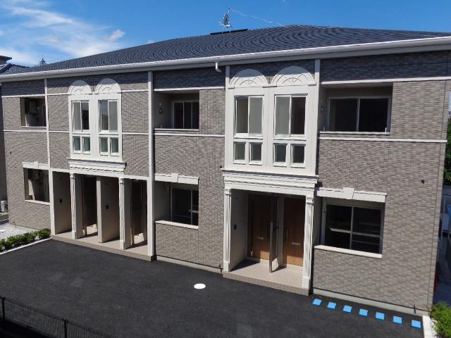 ラナンキュラスの外観画像