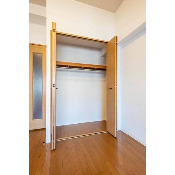 ロリエタワー川崎0802号室 収納