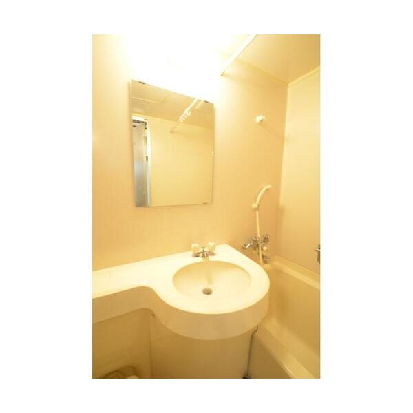 第2パープルハウス 洗面