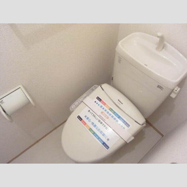 メゾン テラ 303号室　トイレ