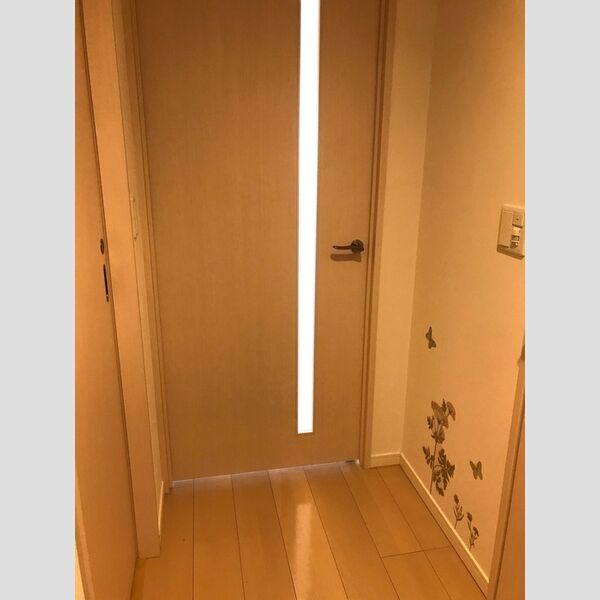 Plumeria407号室 廊下