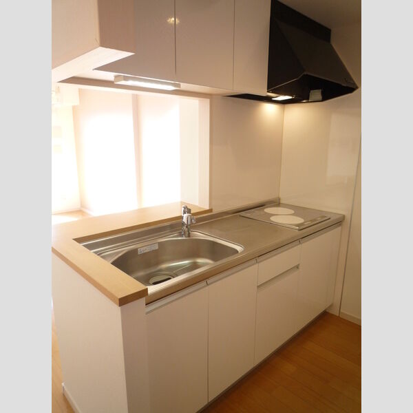 アレーズ南池袋801号室 システムキッチン