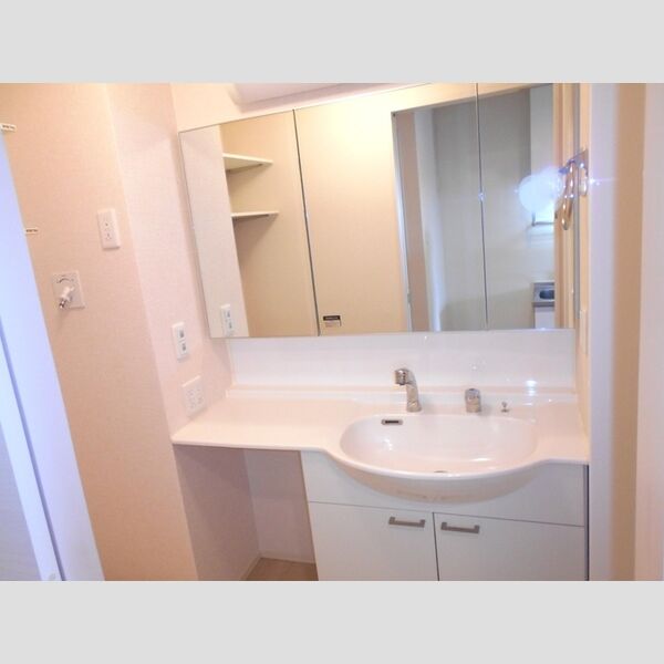 アプリコットガーデン　C201号室 洗髪洗面化粧台