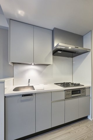 プラウドフラット墨田曳舟ディアージュ203号室 キッチン