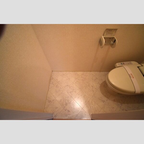 アーク・ド・ルミエール106号室 トイレ