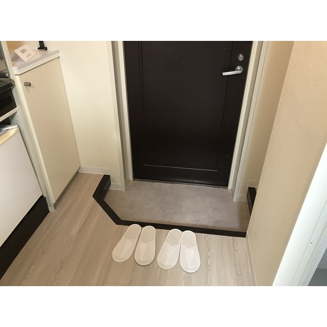 ドリームスペースマンションA-01号室 玄関