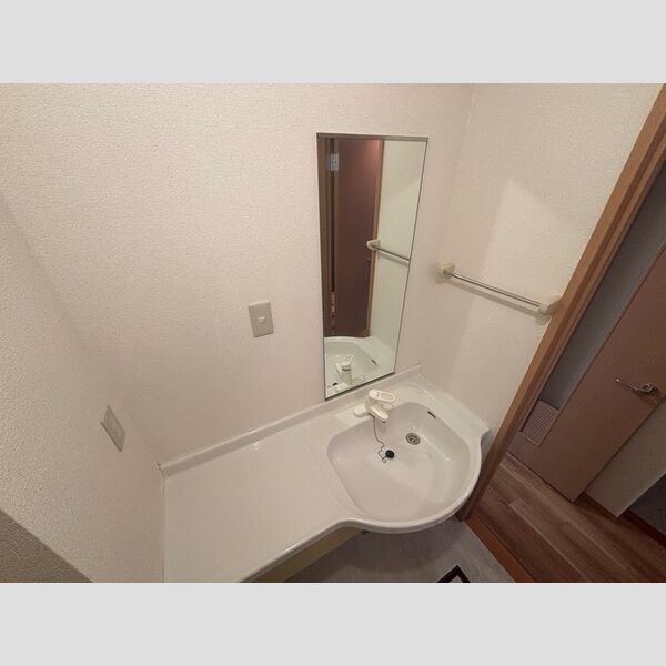 ラ・セゾン　壱番館201号室 洗面