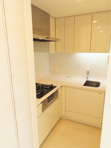 プレセダン石神井公園8階 システムキッチン　※同タイプ別部屋2024年11月撮影