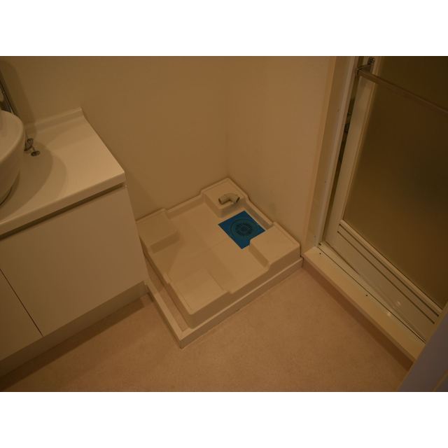 ルクレ新川レジデンス1202号室 室内洗濯機置場