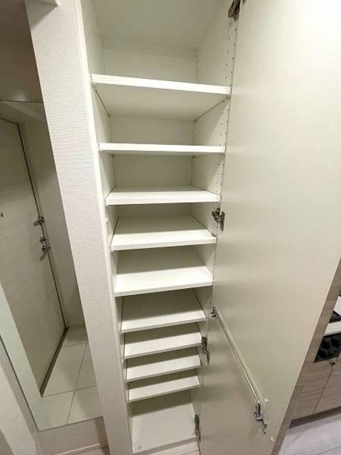 ガーラ・プライム横濱関内11階 収納