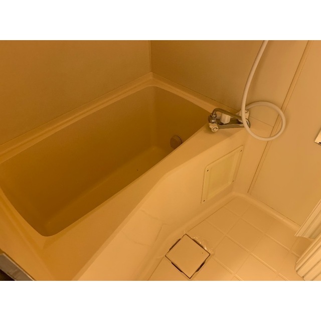 リュミエ川口　旧グリーンヒルハイツ お風呂