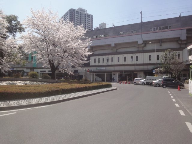 ラヴィーユ　クラ 武蔵浦和駅(JR　武蔵野線)まで1,192ｍ