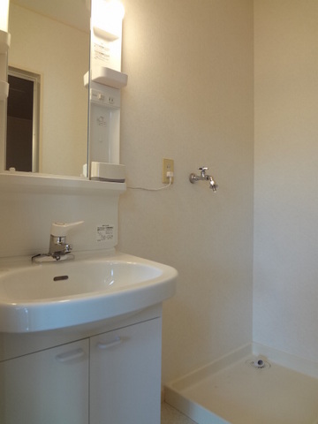 グレースヒル0203号室 洗面所