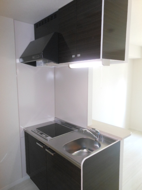 ル・エスト・フォンテーヌ0203号室 キッチン