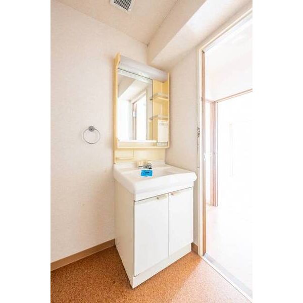 セザール鶴川ガーデンヒルズ 洗面