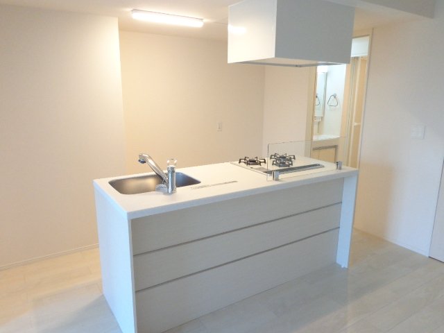 エルアージュ105号室 アイランドキッチン（イメージ）