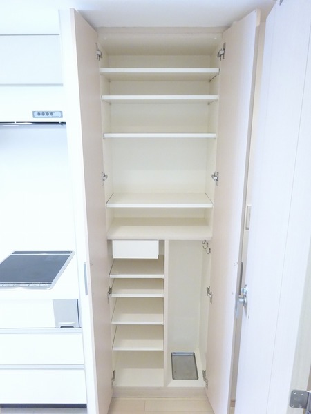 日神デュオステージ大森西 収納