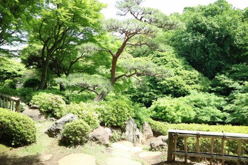 菱和パレス高輪台 【公園】池田山公園まで595ｍ