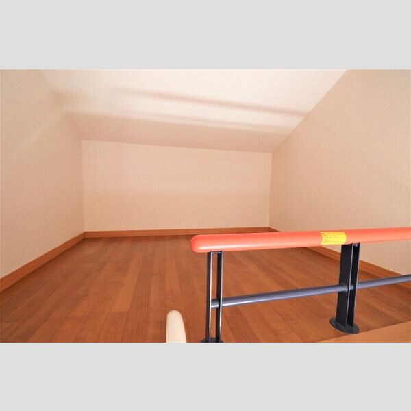 プチパラダイス202号室 ロフト