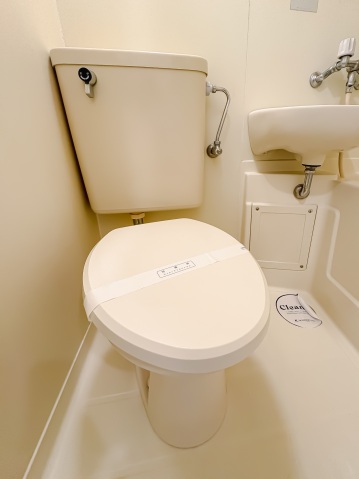 スカイコート大倉山101号室 トイレ