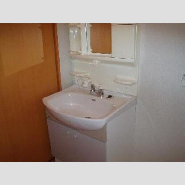 ミルフィーユ・アネックス シャンプードレッサー