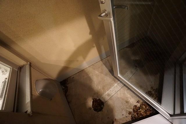 GranDuo柿の木坂21階 バルコニー