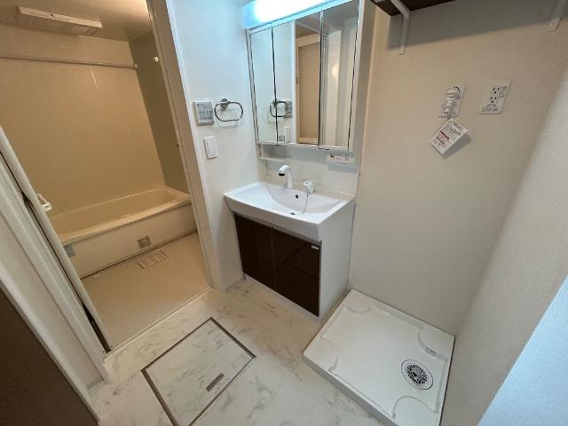 ディモーラ102号室 洗面