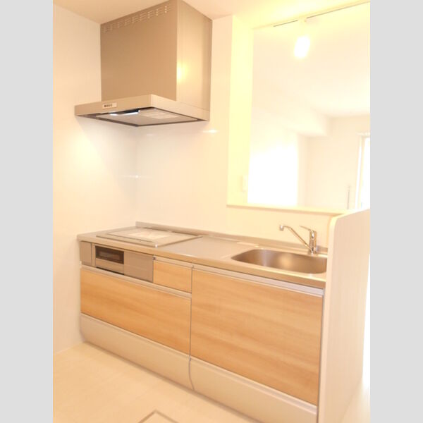 ラ・ルーチェ(川越)102号室 キッチン