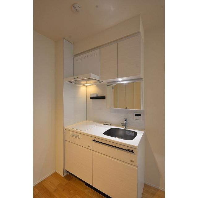 ソシガヤテラスN 収納