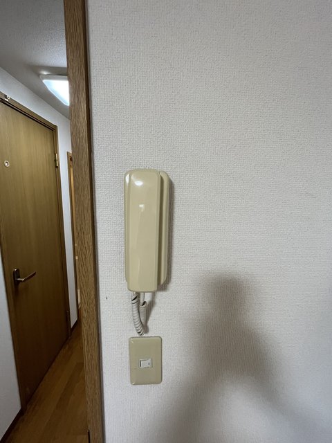 グランシャリオ（野方）0203号室 セキュリティ