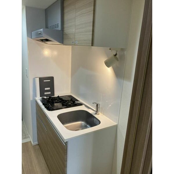 スパシエフェリーチェ川崎401号室 部屋その他