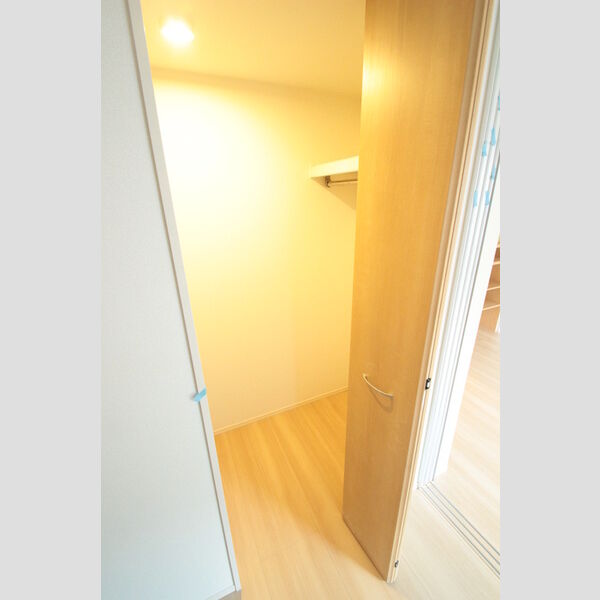 フェリシア 101号室　ウォークインクローゼット