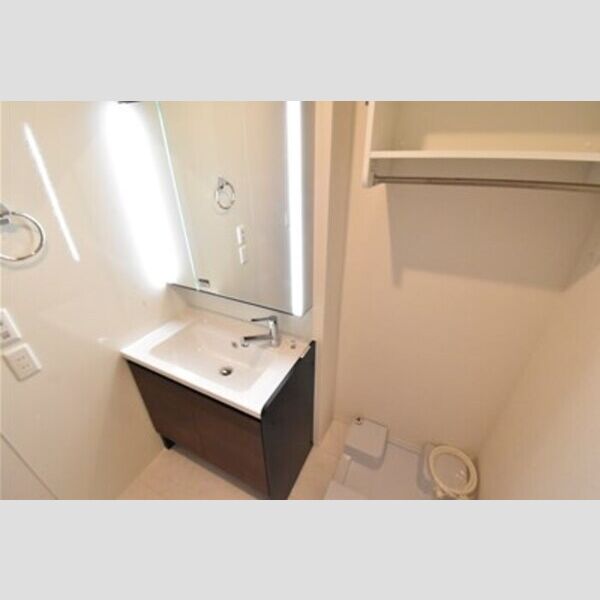 ロイヤルムーン 洗面室