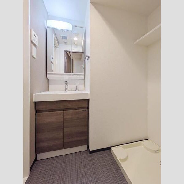 S-RESIDENCE横濱吉野町burgeon 洗面