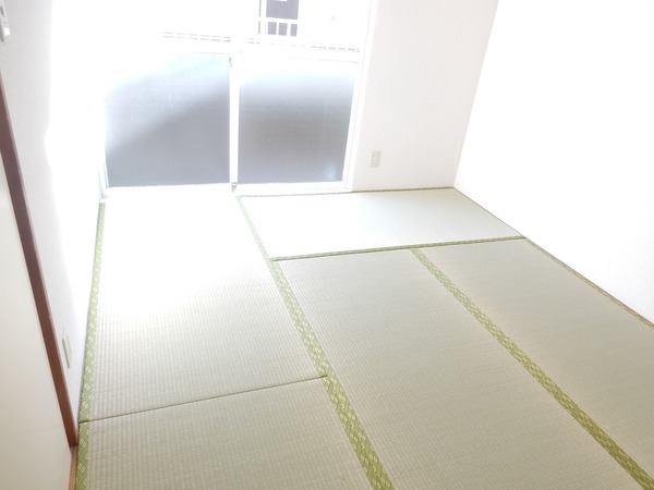 エステートピア椿峰C101号室 リビング