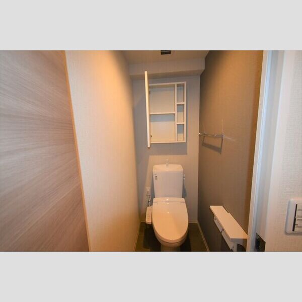 メゾン・ド・シルキー307号室 トイレ