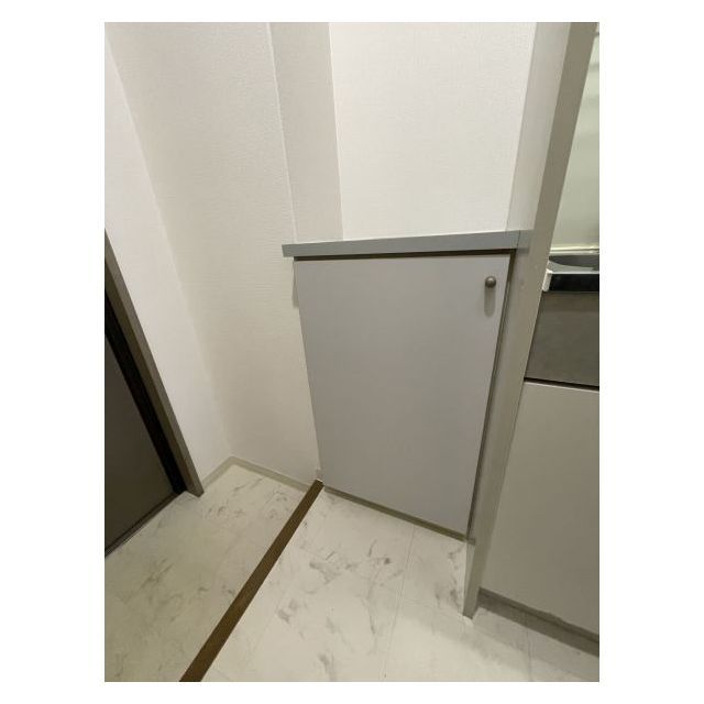 スペーシア池上0208号室 シューズボックス