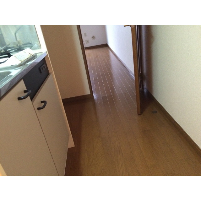 プレジールエイト・ガロン203号室 内観